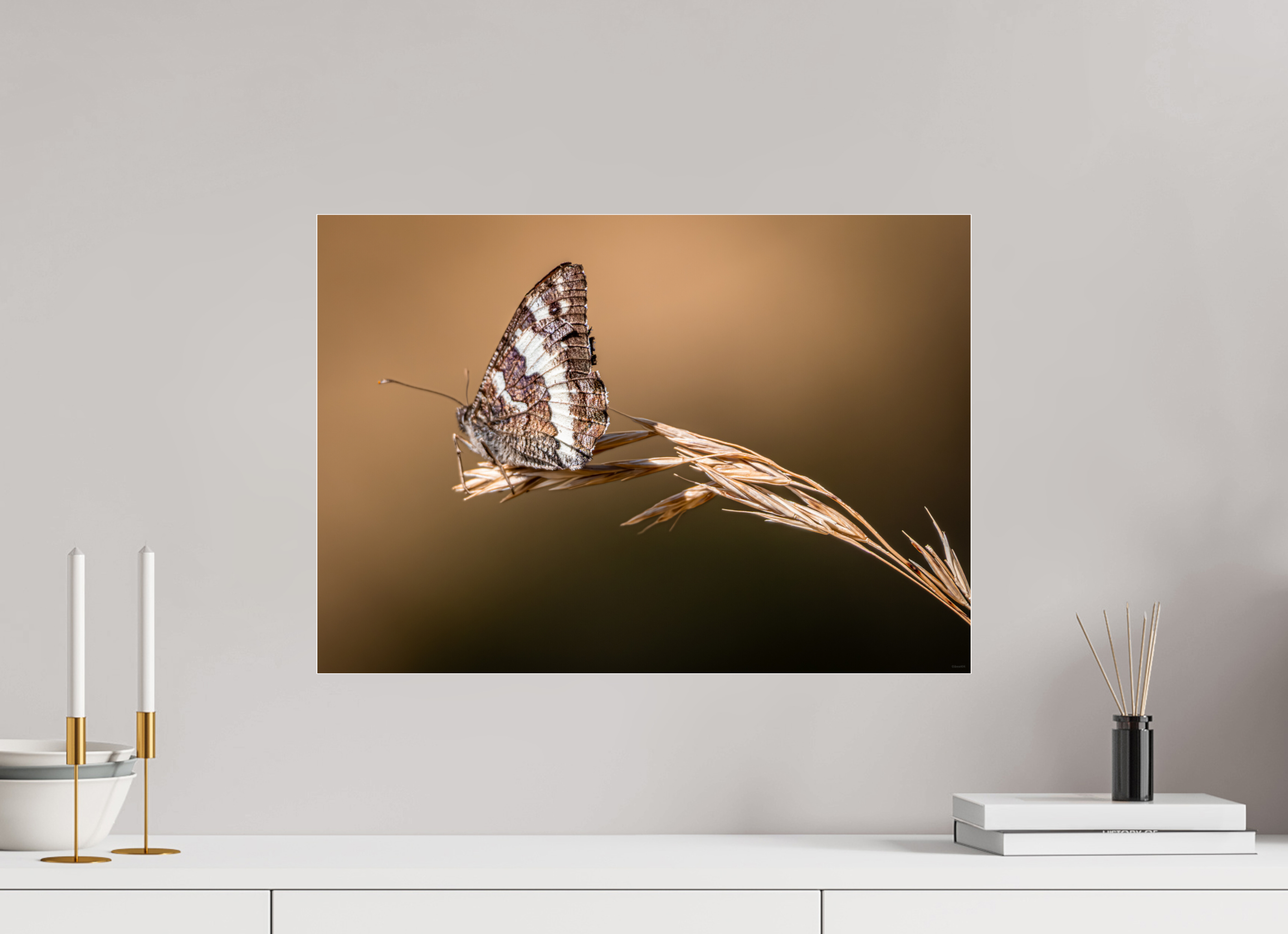 57 x 40 cm, Dibond verre brillant 2mm Suspendu à l'été