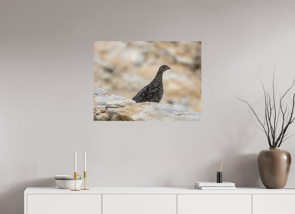 81,1 x 60 cm, Tirage Fine Art mat Gardienne