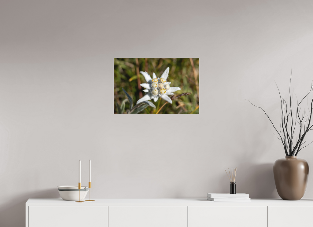 60,5 x 40 cm, Tirage Fine Art mat Fleur sacrée