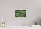 30 x 20 cm, Tirage Fine Art mat Train Suisse
