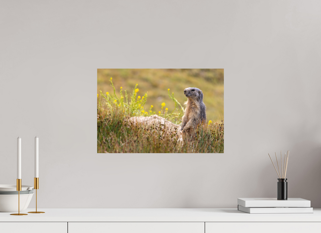 45 x 30 cm, Tirage Fine Art mat Garde champêtre