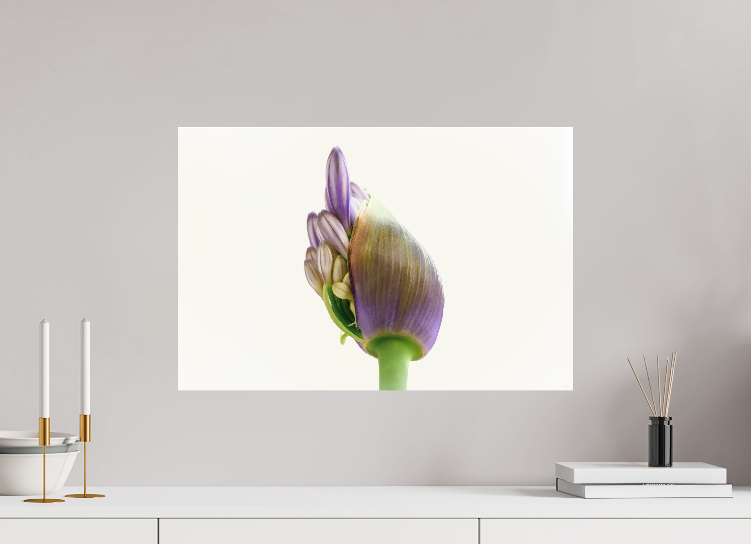 60 x 40 cm, Tirage Fine Art mat Agapanthe