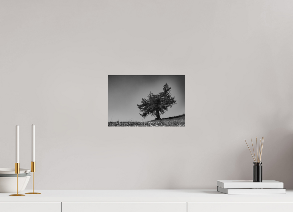 30 x 20 cm, Tirage Fine Art mat Ombrage