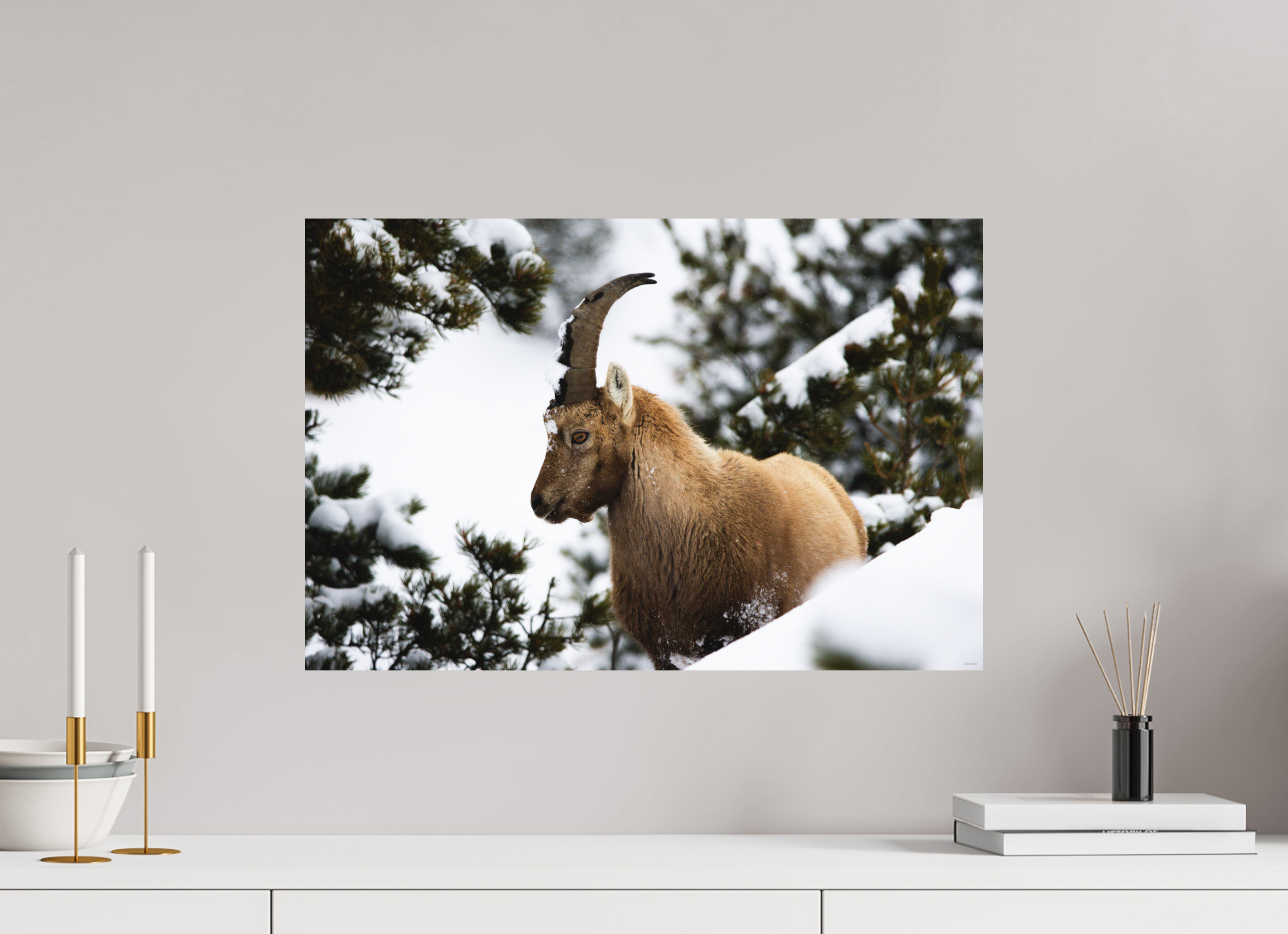 60 x 40 cm, Tirage Fine Art mat Surpris