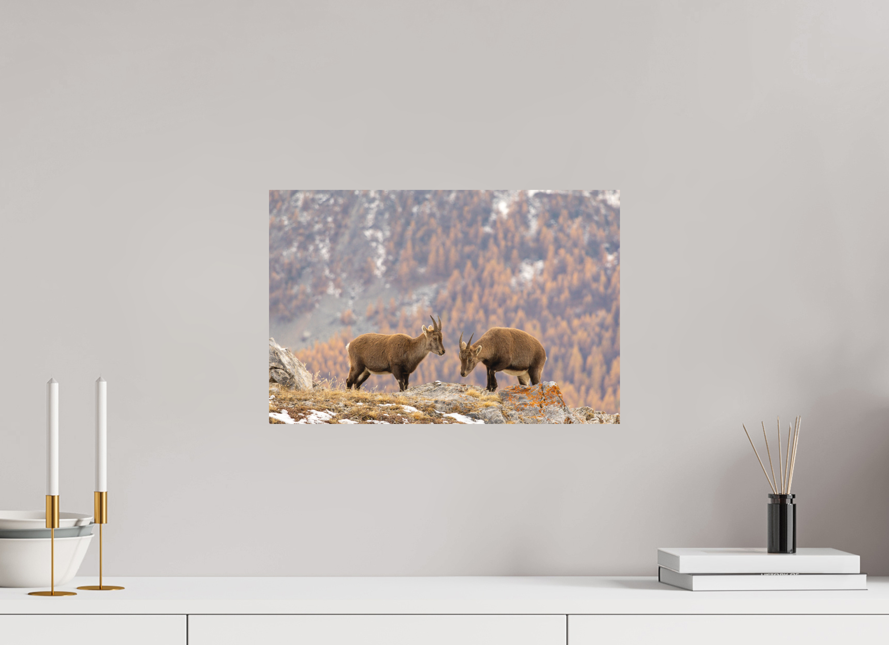 45 x 30 cm, Tirage Fine Art mat Fraternité