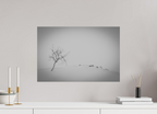 60 x 40 cm, Tirage Fine Art mat Isolé