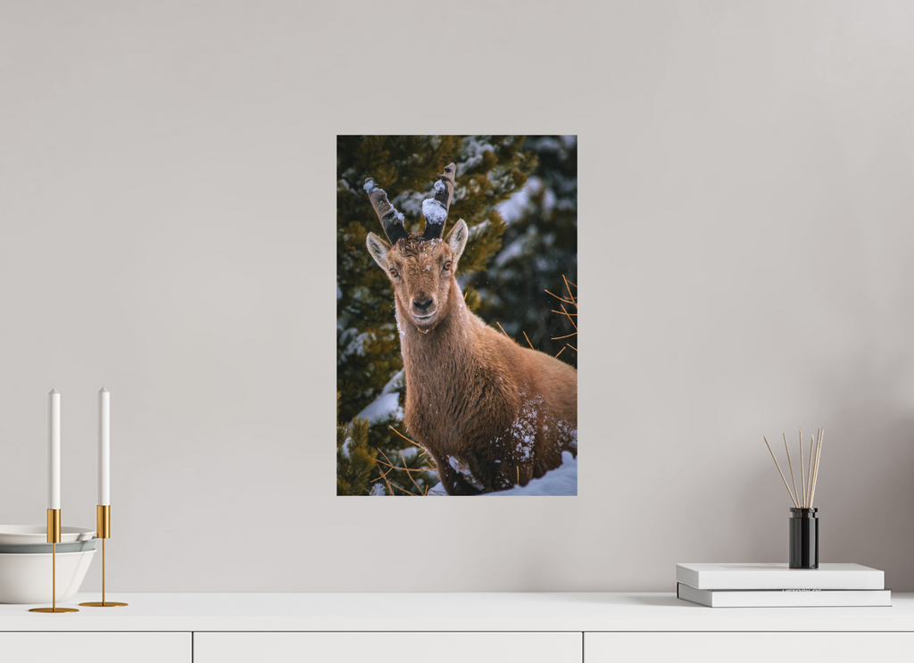 30 x 45 cm, Tirage Fine Art mat Copain