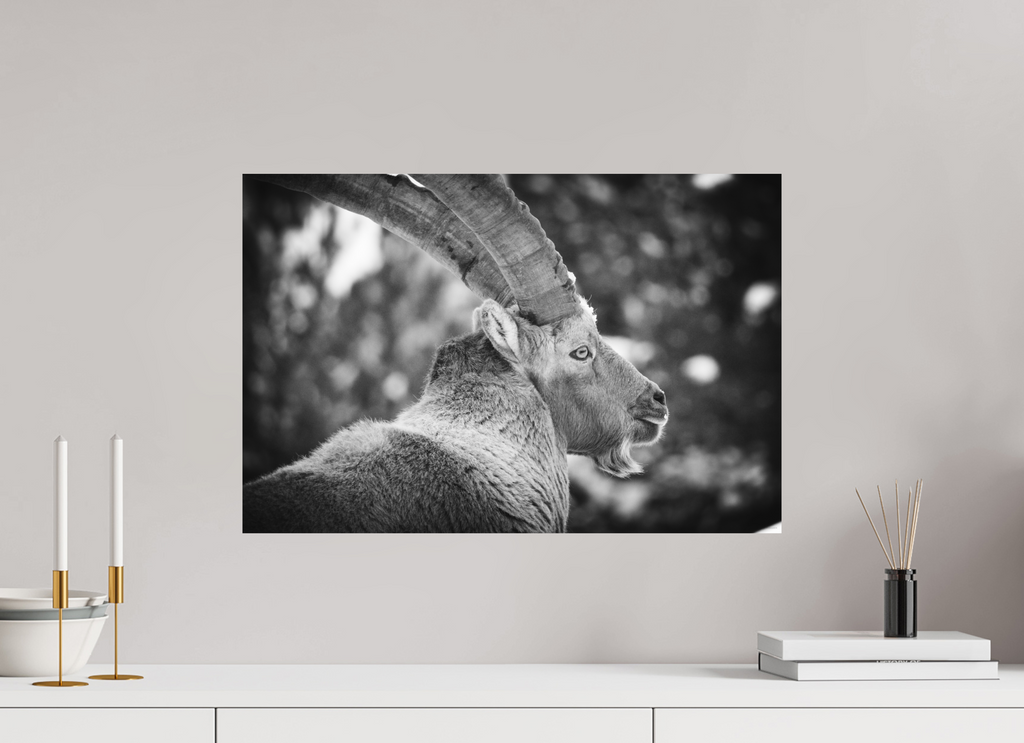 60 x 40 cm, Tirage Fine Art mat Le Roi