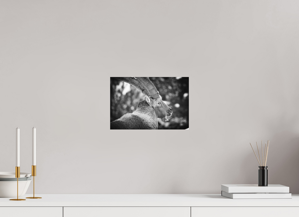 30 x 20 cm, Tirage Fine Art mat Le Roi