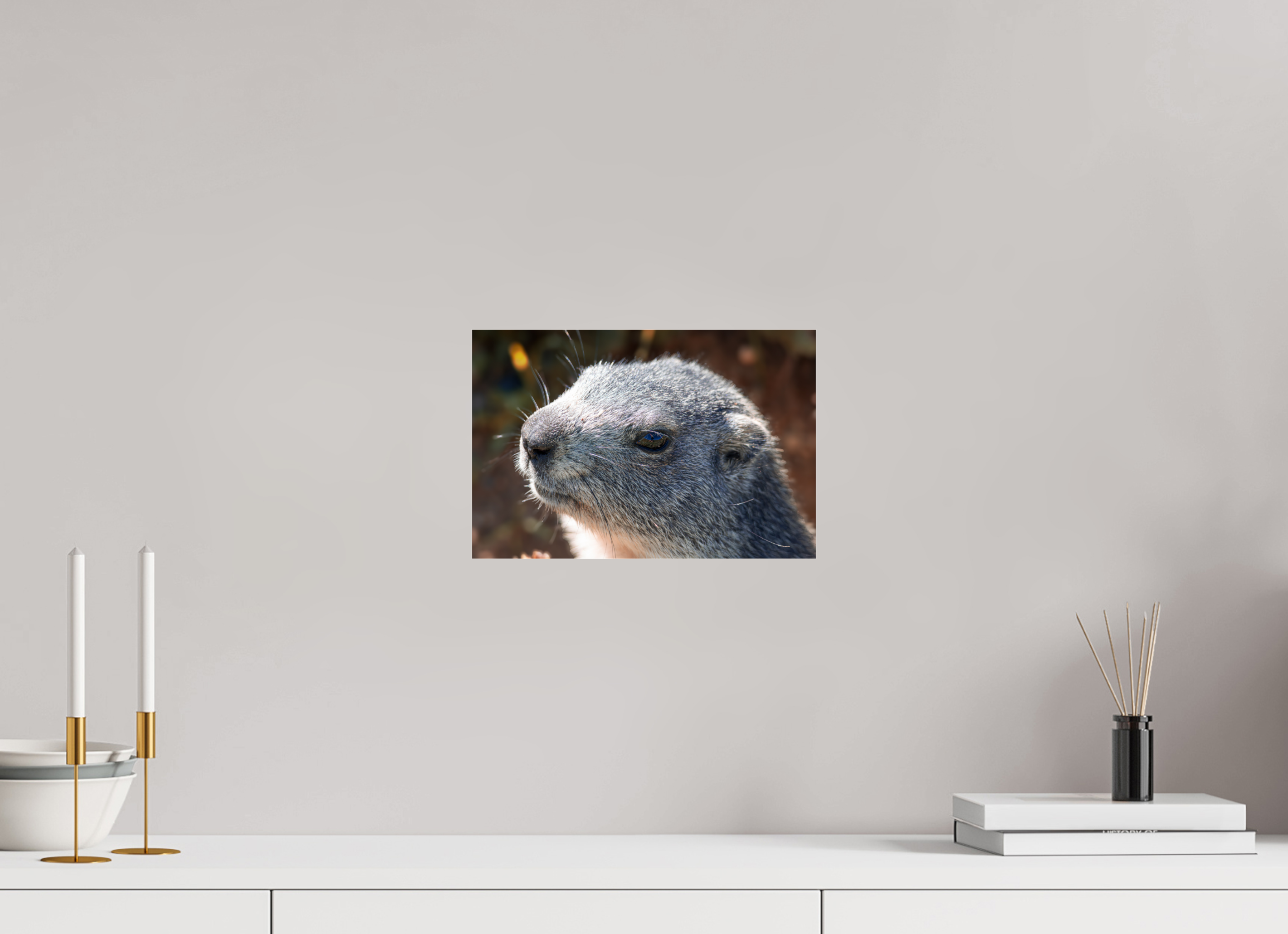 30 x 20 cm, Dibond verre brillant 2mm Dans son regard 2