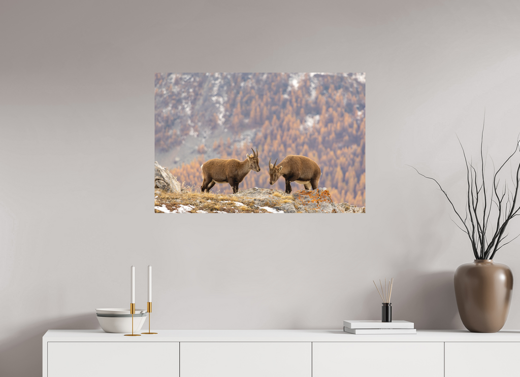 90 x 60 cm, Tirage Fine Art mat Fraternité