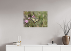 75 x 50 cm, Tirage Fine Art mat Gracieux éphémère