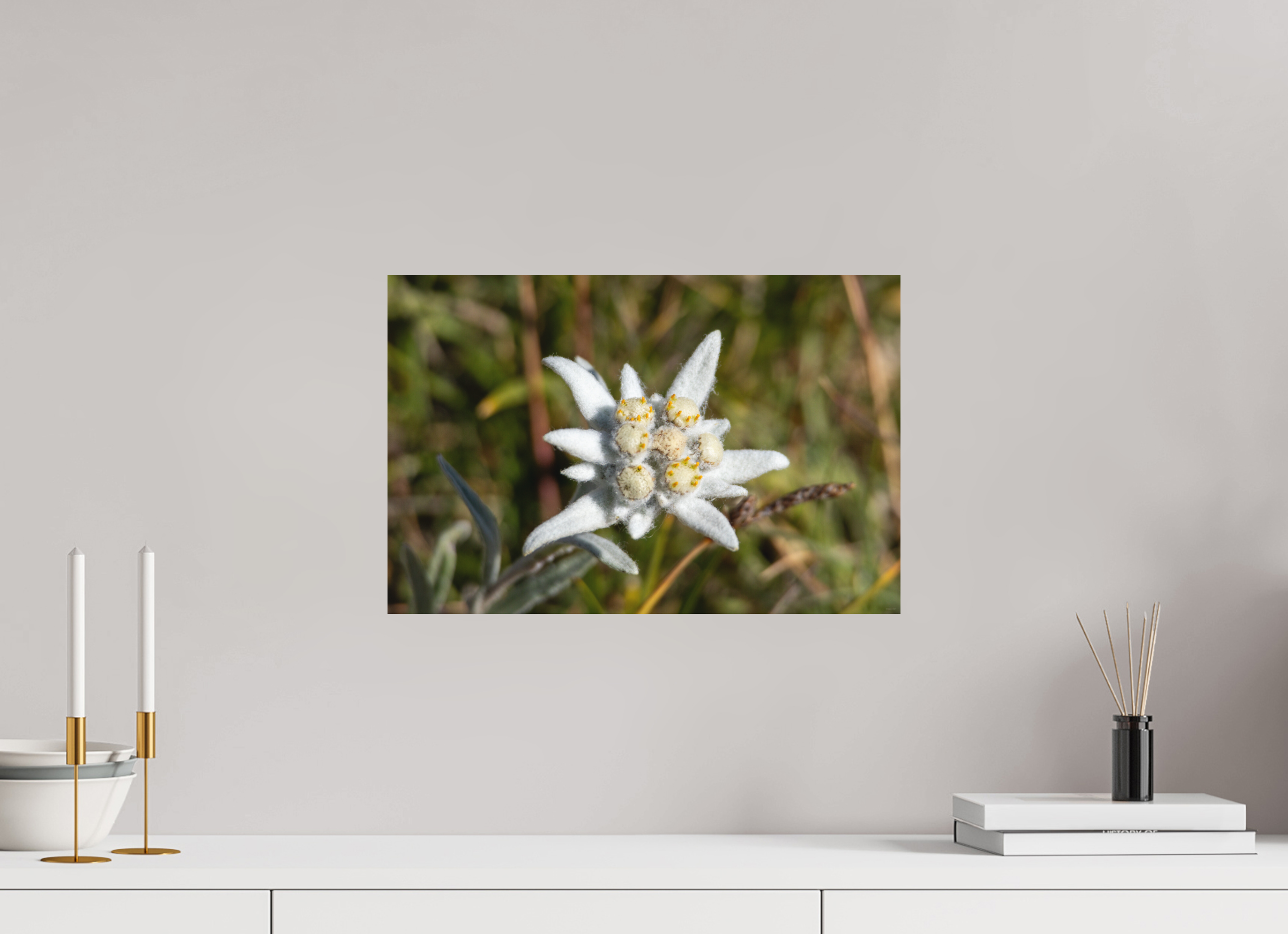 45,4 x 30 cm, Tirage Fine Art mat Fleur sacrée