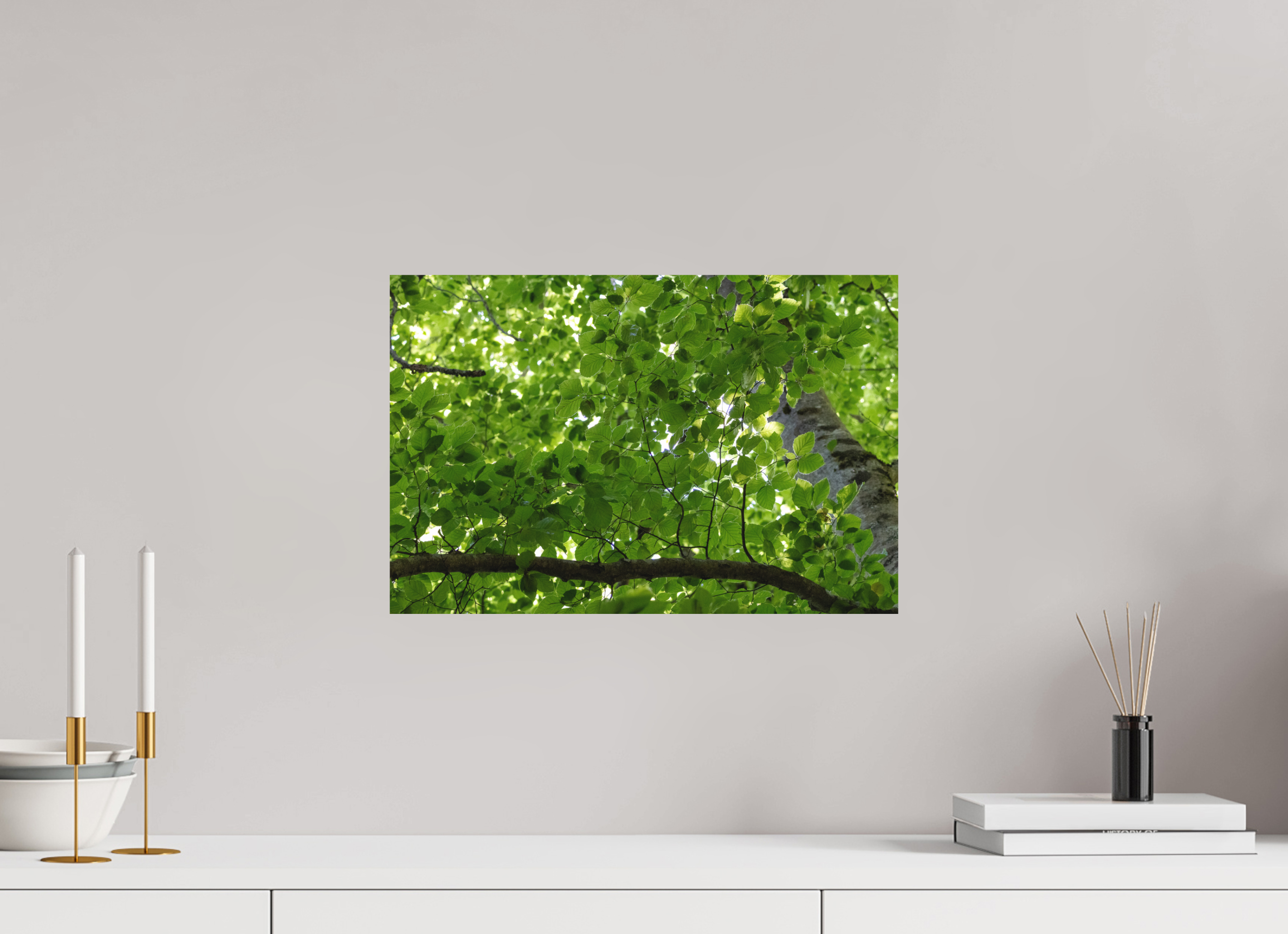 45 x 30 cm, Tirage Fine Art mat Chlorophylle