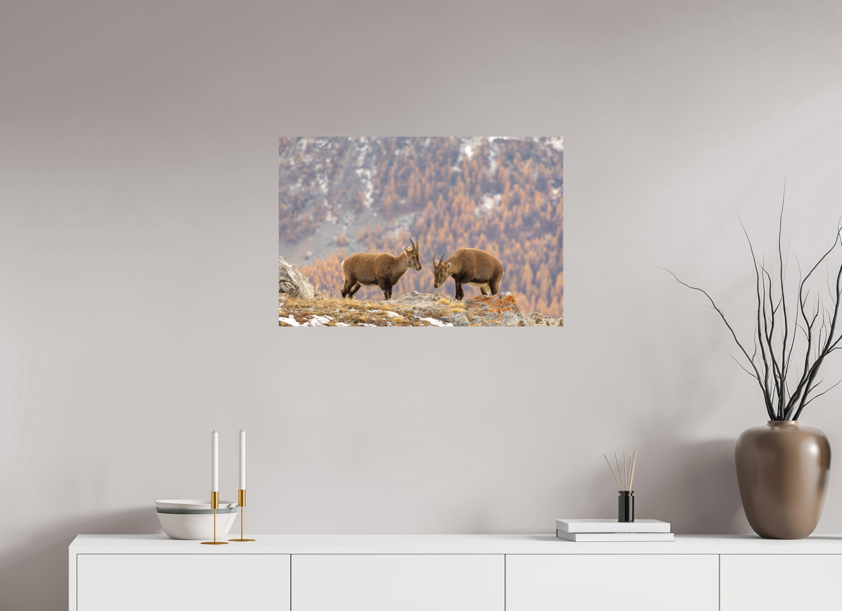 75 x 50 cm, Tirage Fine Art mat Fraternité