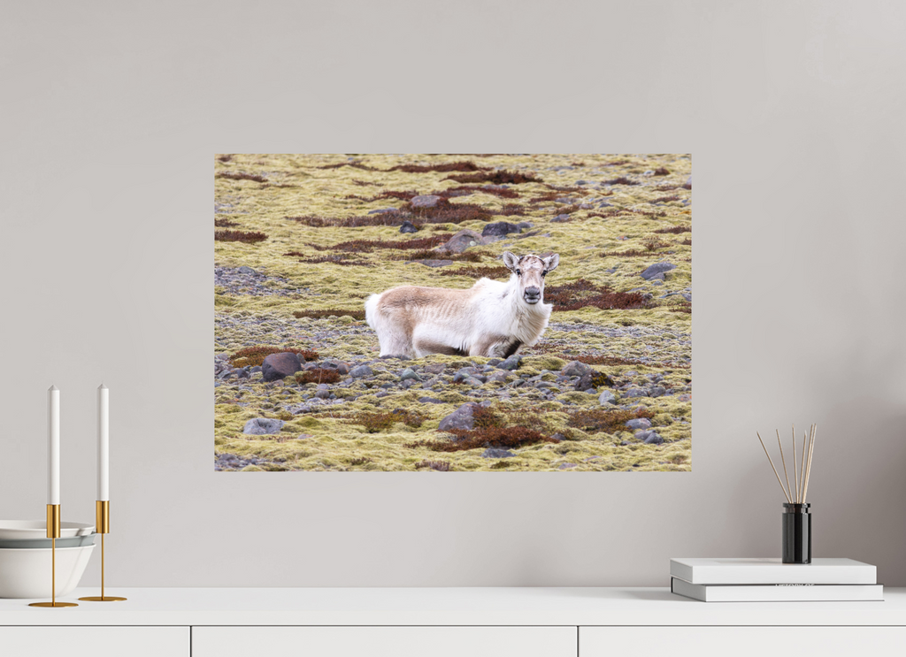 60 x 40 cm, Tirage Fine Art mat Étonnement
