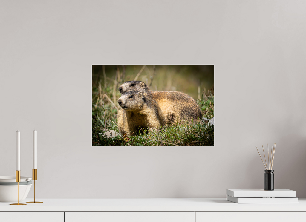 45 x 30 cm, Dibond verre brillant 2mm bruno