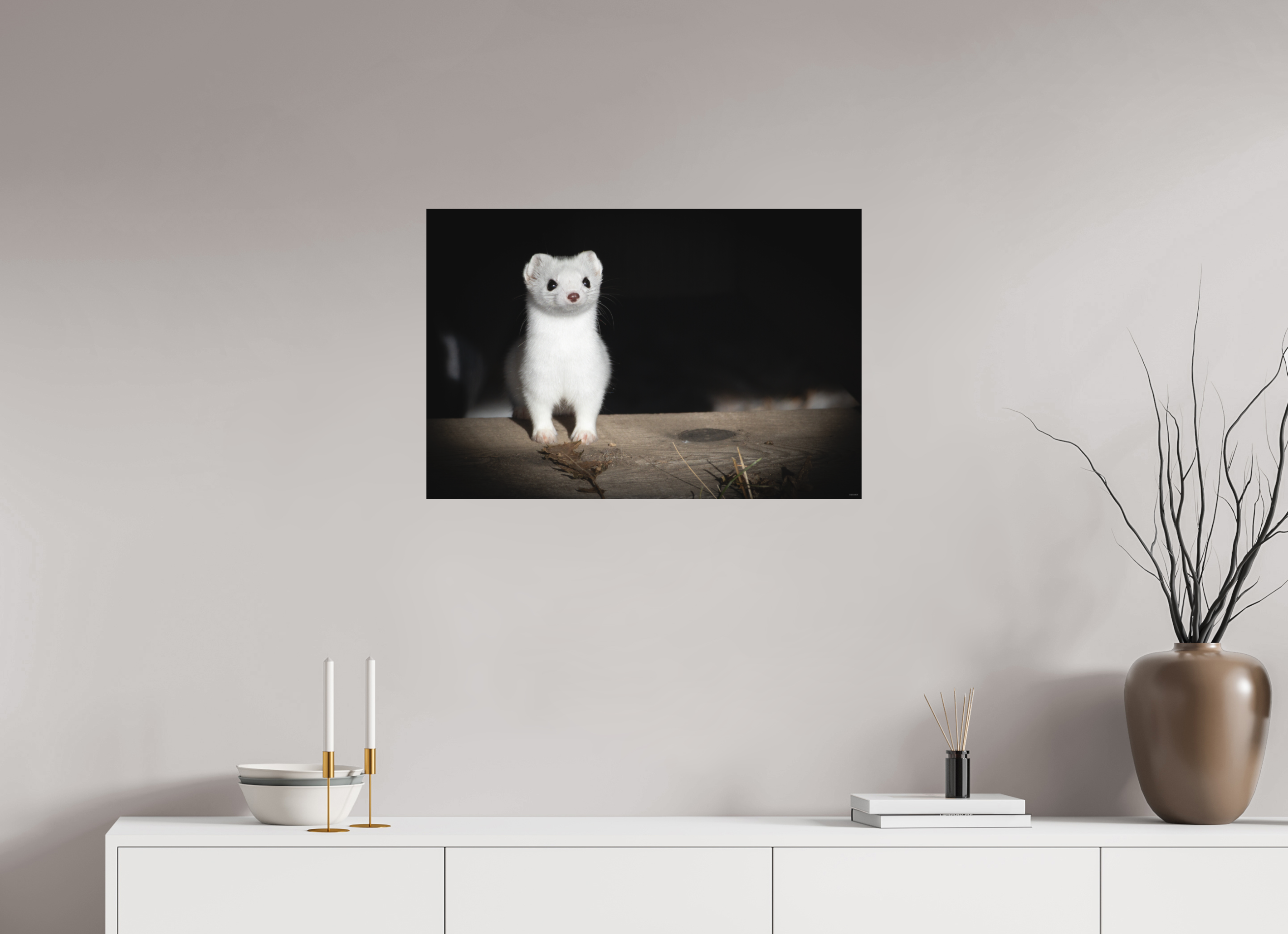 75 x 50 cm, Tirage Fine Art mat Curiosité