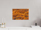 45 x 30 cm, Tirage Fine Art mat Coucher de sève