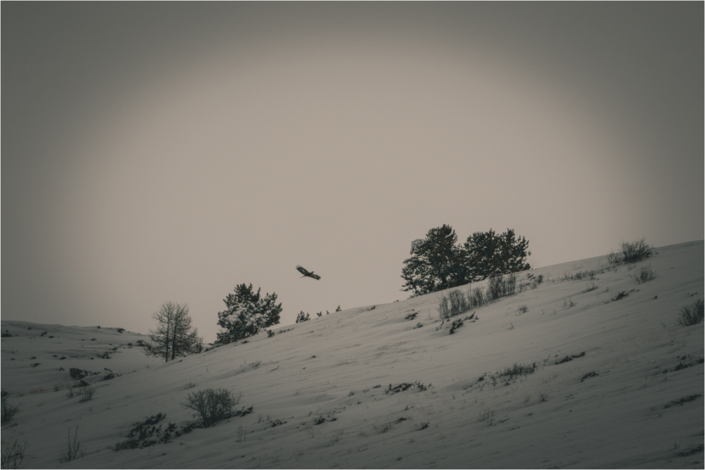 Main image Le passage