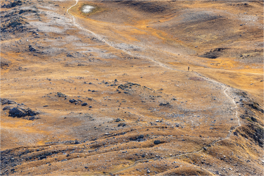 Main image Seul au monde