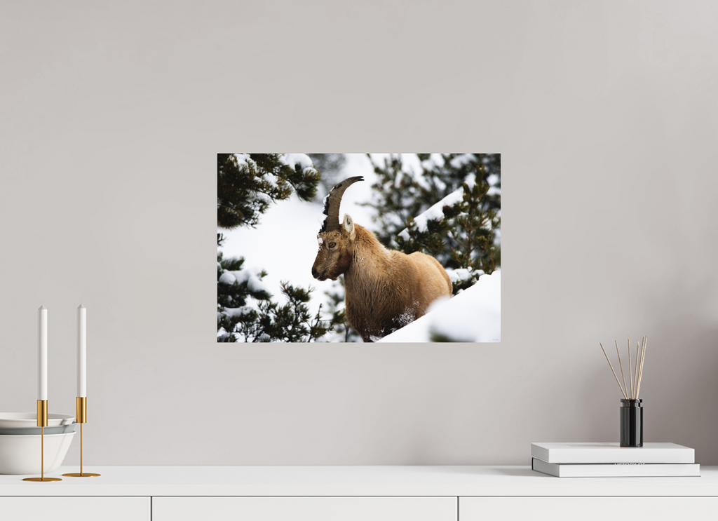 45 x 30 cm, Tirage Fine Art mat Surpris