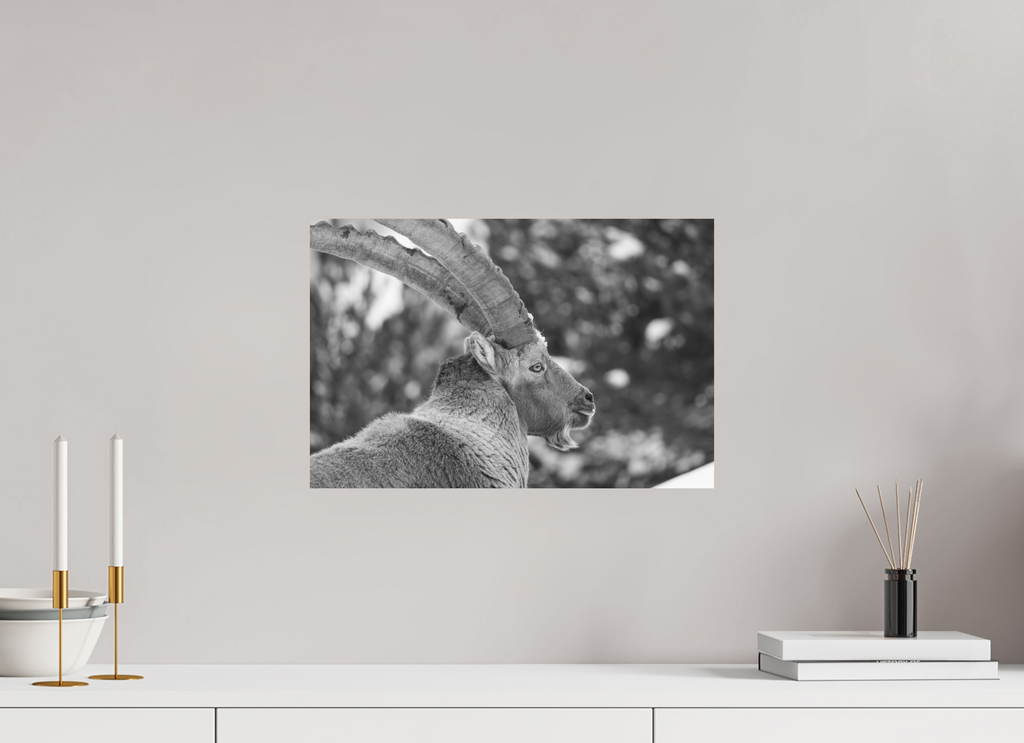45 x 30 cm, Tirage Fine Art mat Le roi