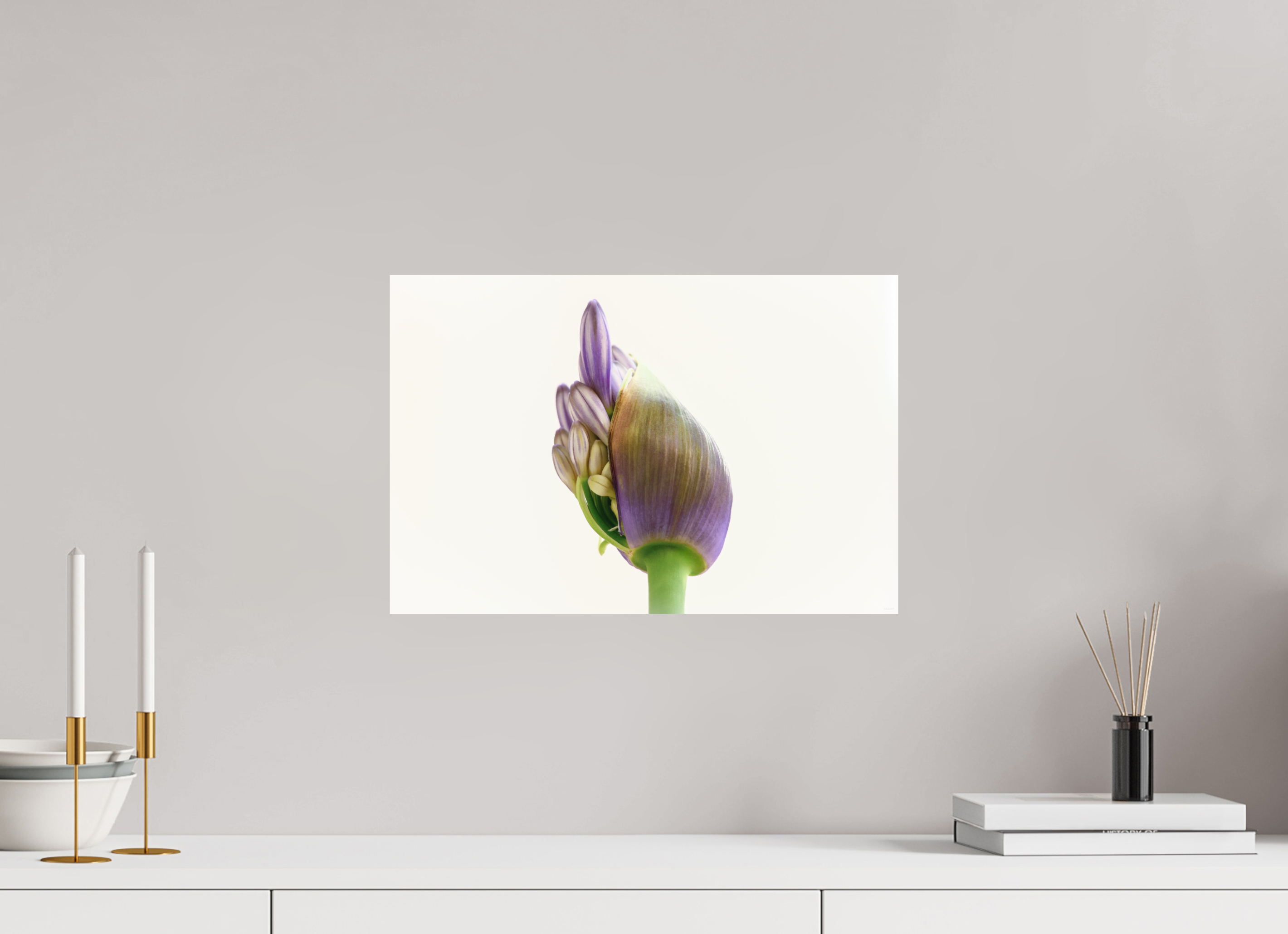 45 x 30 cm, Tirage Fine Art mat Agapanthe