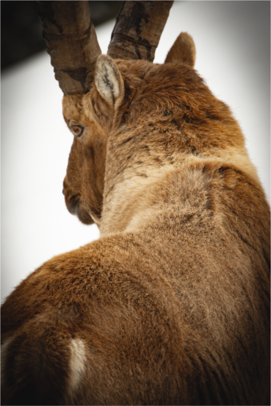 Main image Hors champ