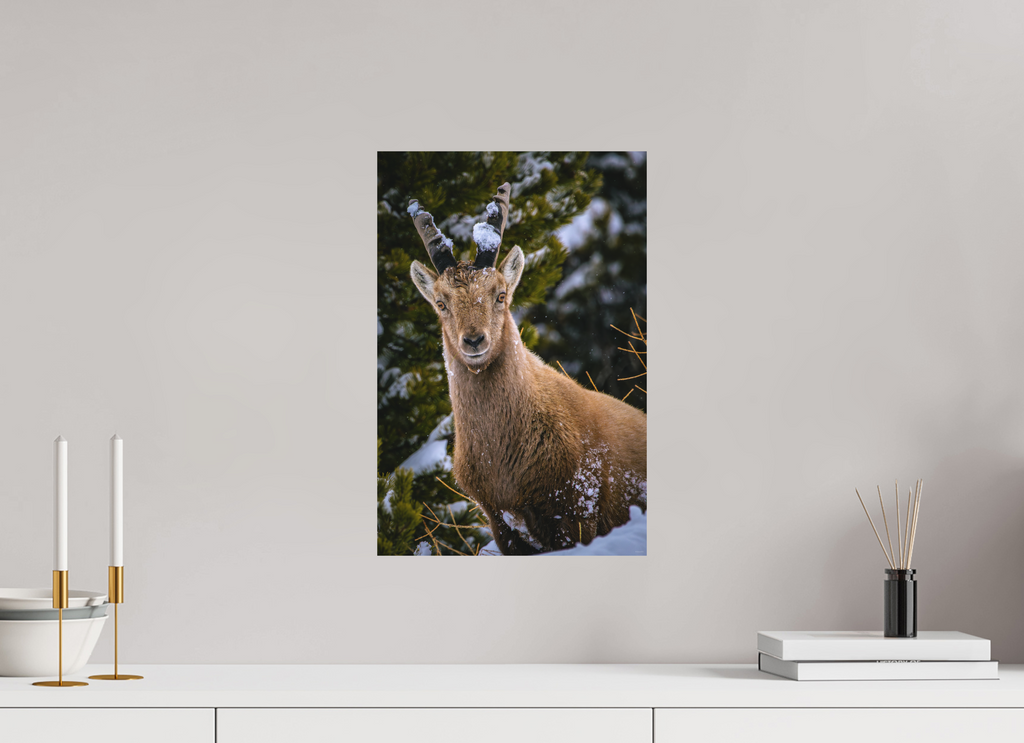 30 x 45 cm, Tirage Fine Art mat Copain
