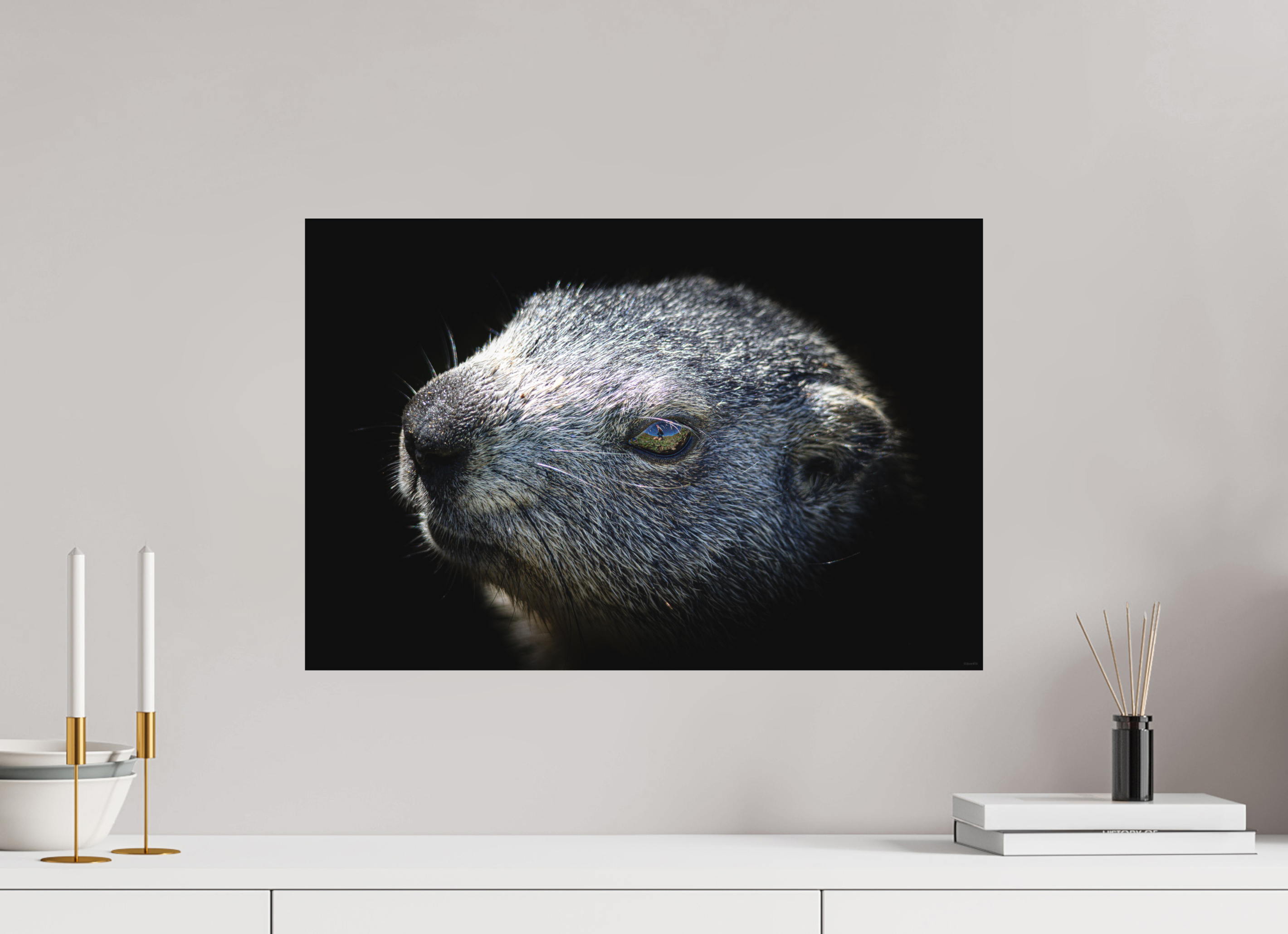 60 x 40 cm, Tirage Fine Art mat Dans son regard (N&B)