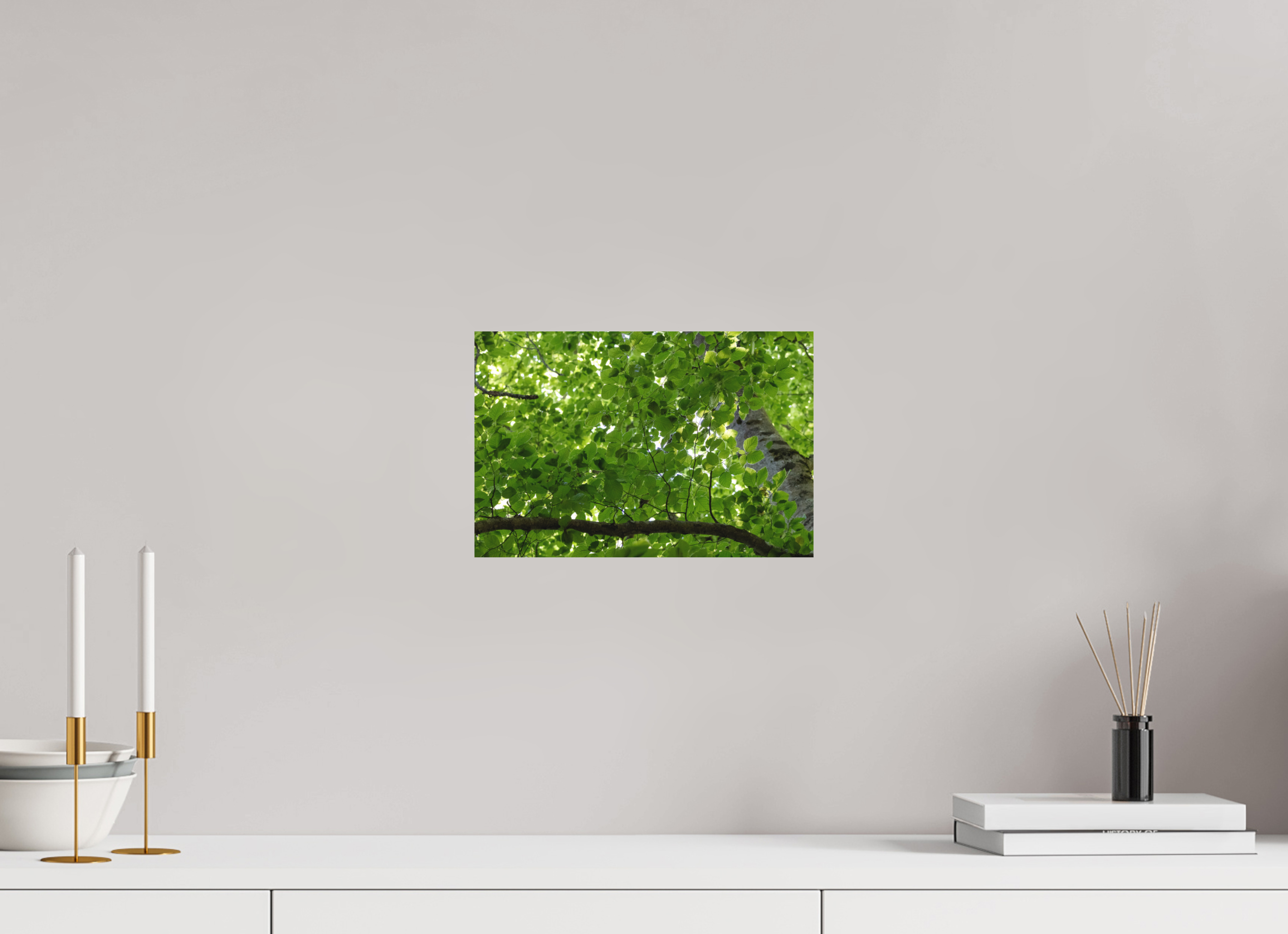 30 x 20 cm, Tirage Fine Art mat Chlorophylle