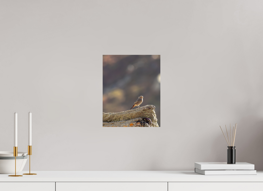 25 x 31,2 cm, Tirage Fine Art mat Rouge queue - veilleur du matin
