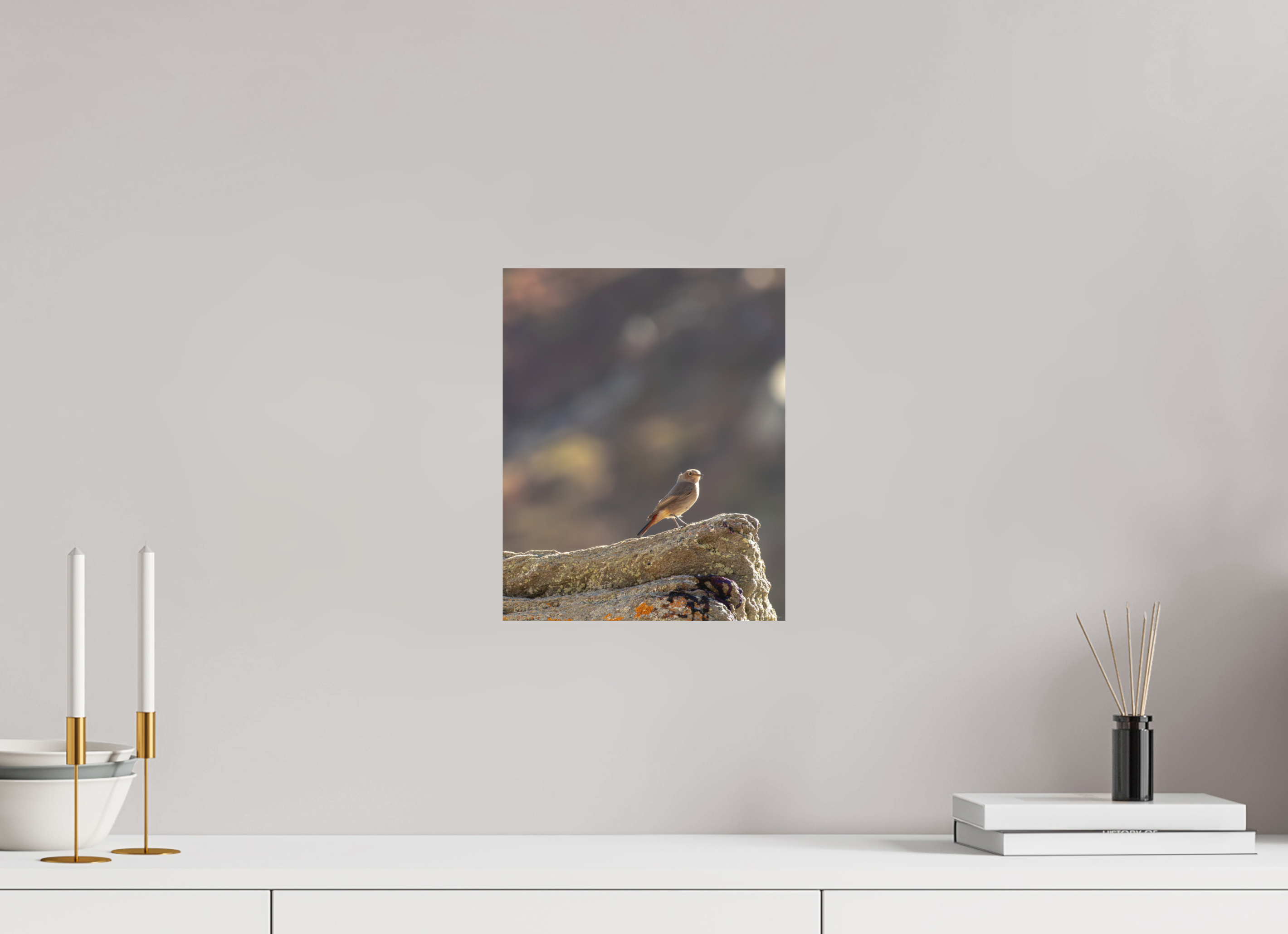 25 x 31,2 cm, Tirage Fine Art mat Rouge queue - veilleur du matin