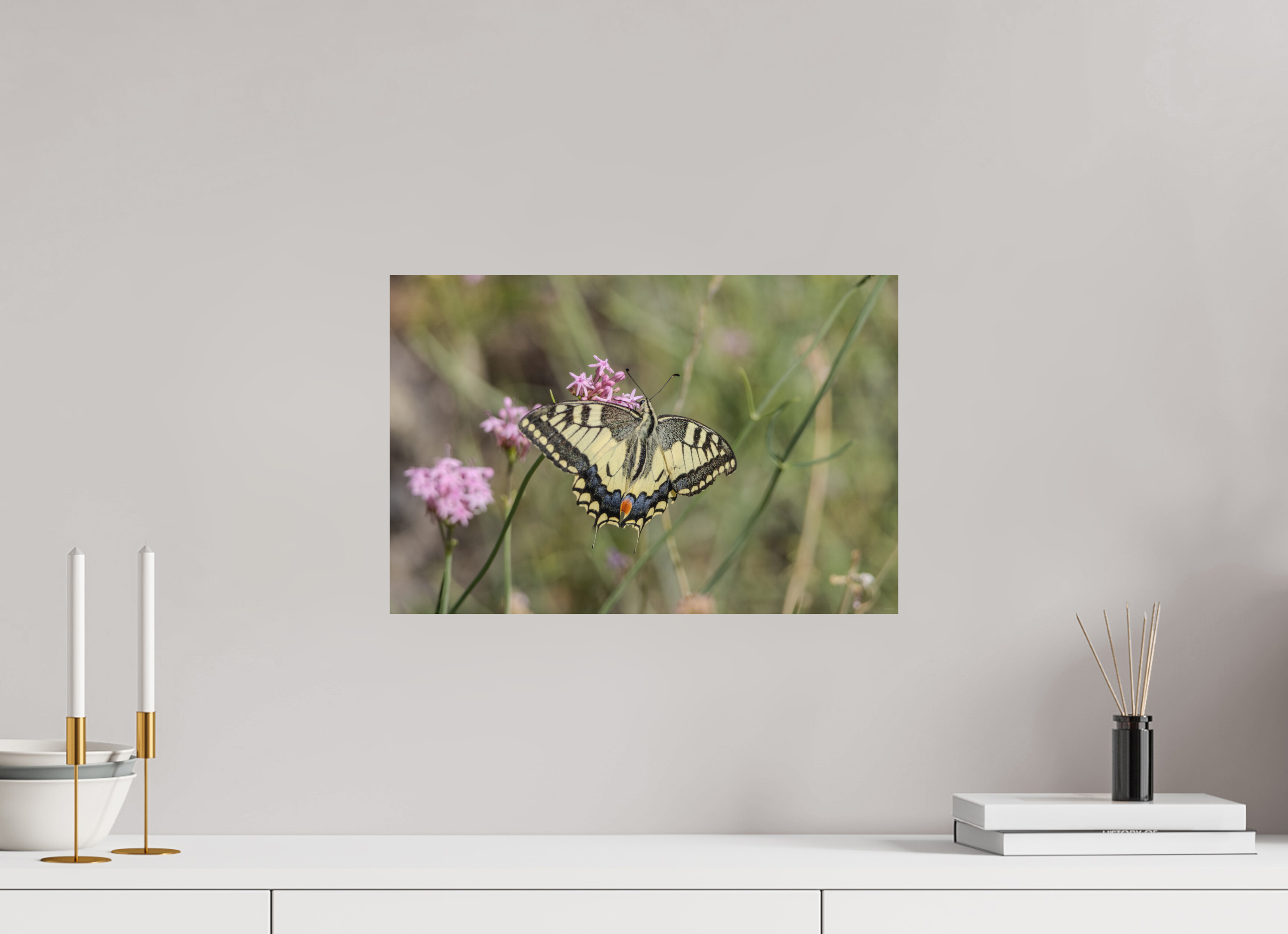 45 x 30 cm, Tirage Fine Art mat Gracieux éphémère