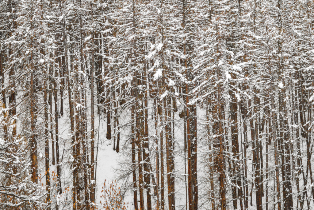 Main image Frontière