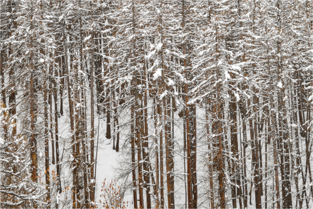 Main image Frontière