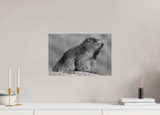 45 x 30 cm, Tirage Fine Art mat Figure alpine (N&B)