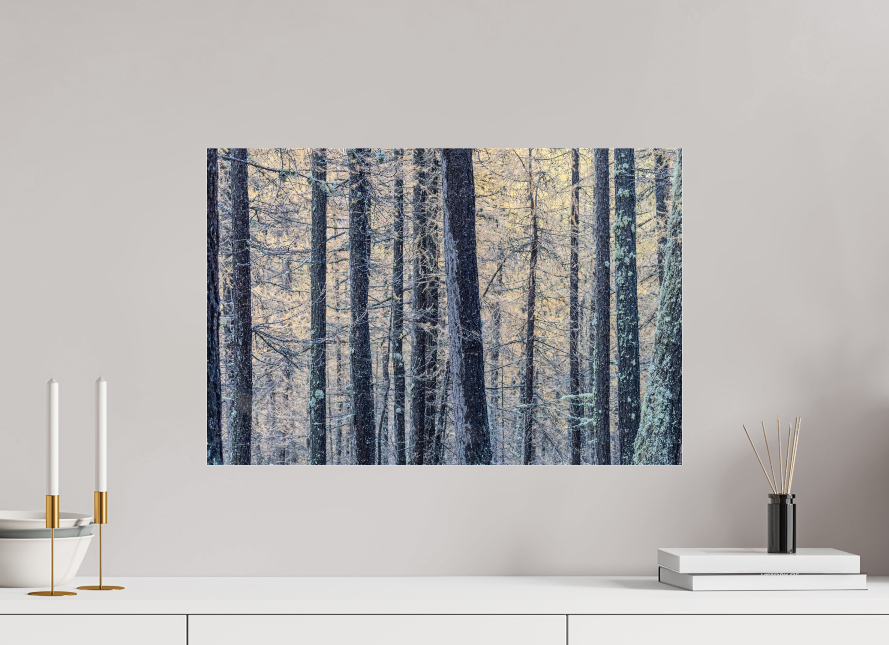 60 x 40 cm, Dibond verre brillant 2mm Duel