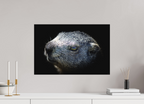 60 x 40 cm, Tirage Fine Art mat Regard miroir (N&B)