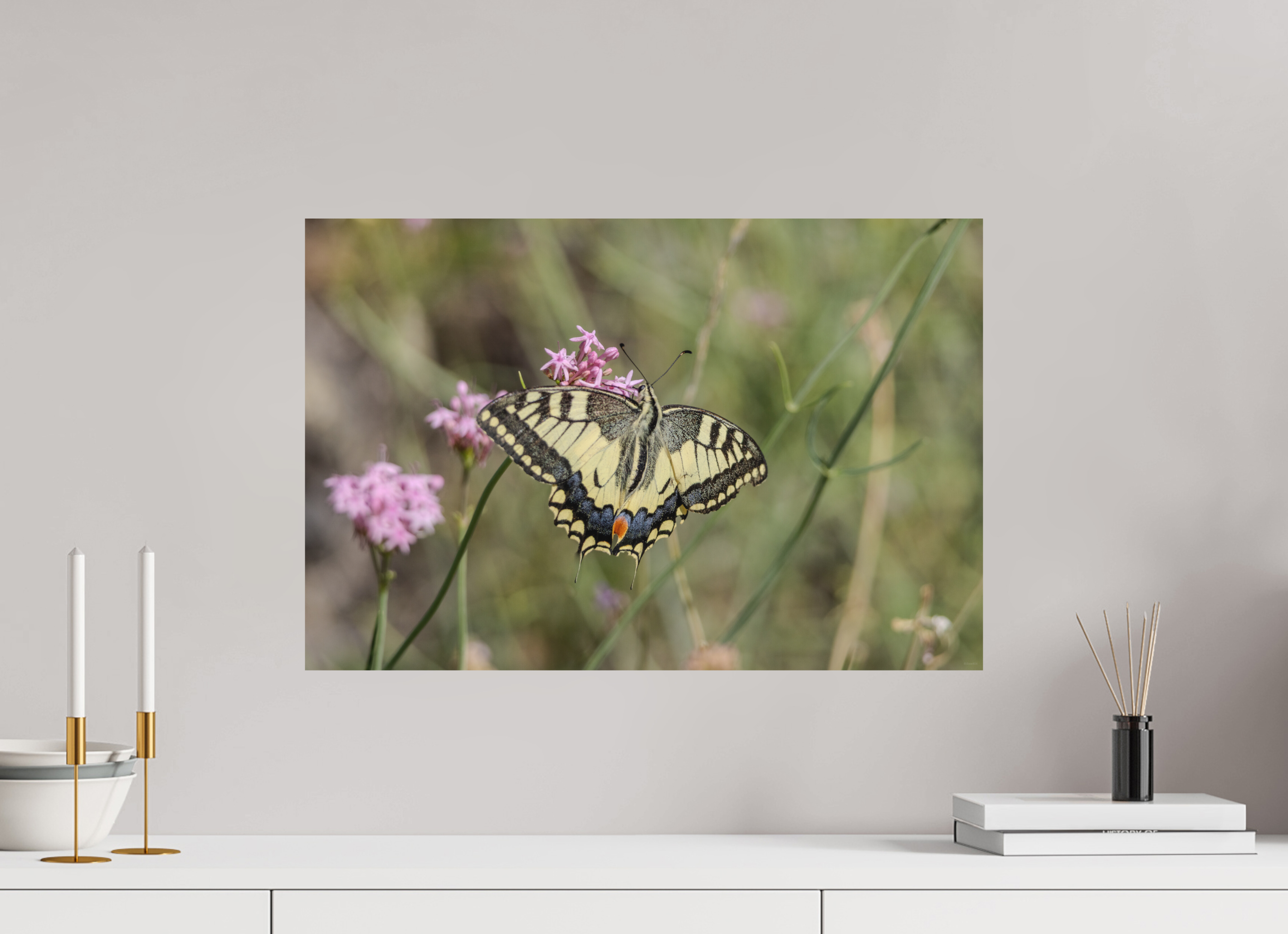 60 x 40 cm, Tirage Fine Art mat Gracieux éphémère