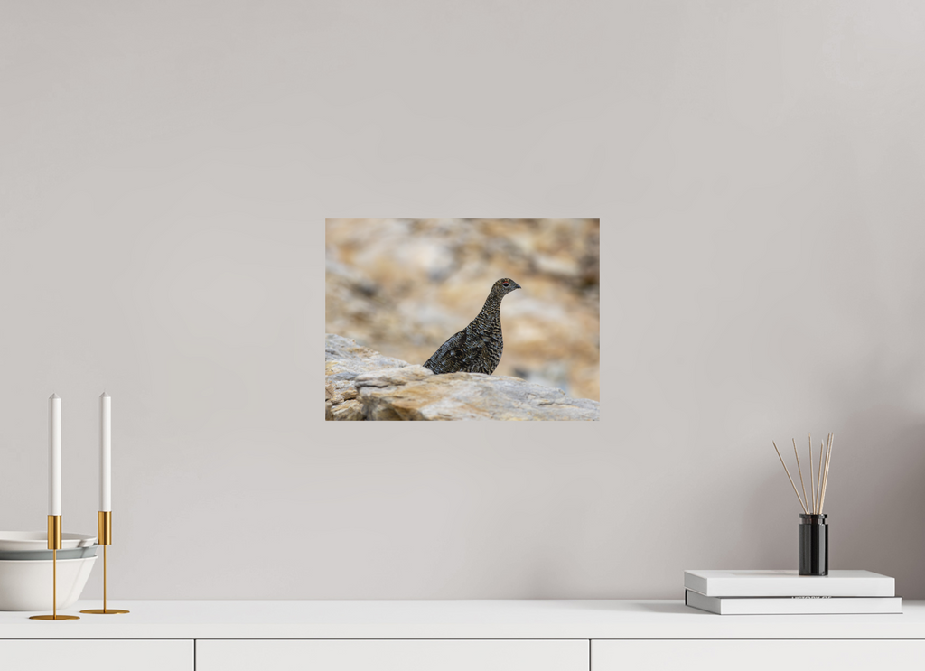 33,8 x 25 cm, Tirage Fine Art mat Gardienne