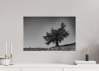 60 x 40 cm, Tirage Fine Art mat Ombrage
