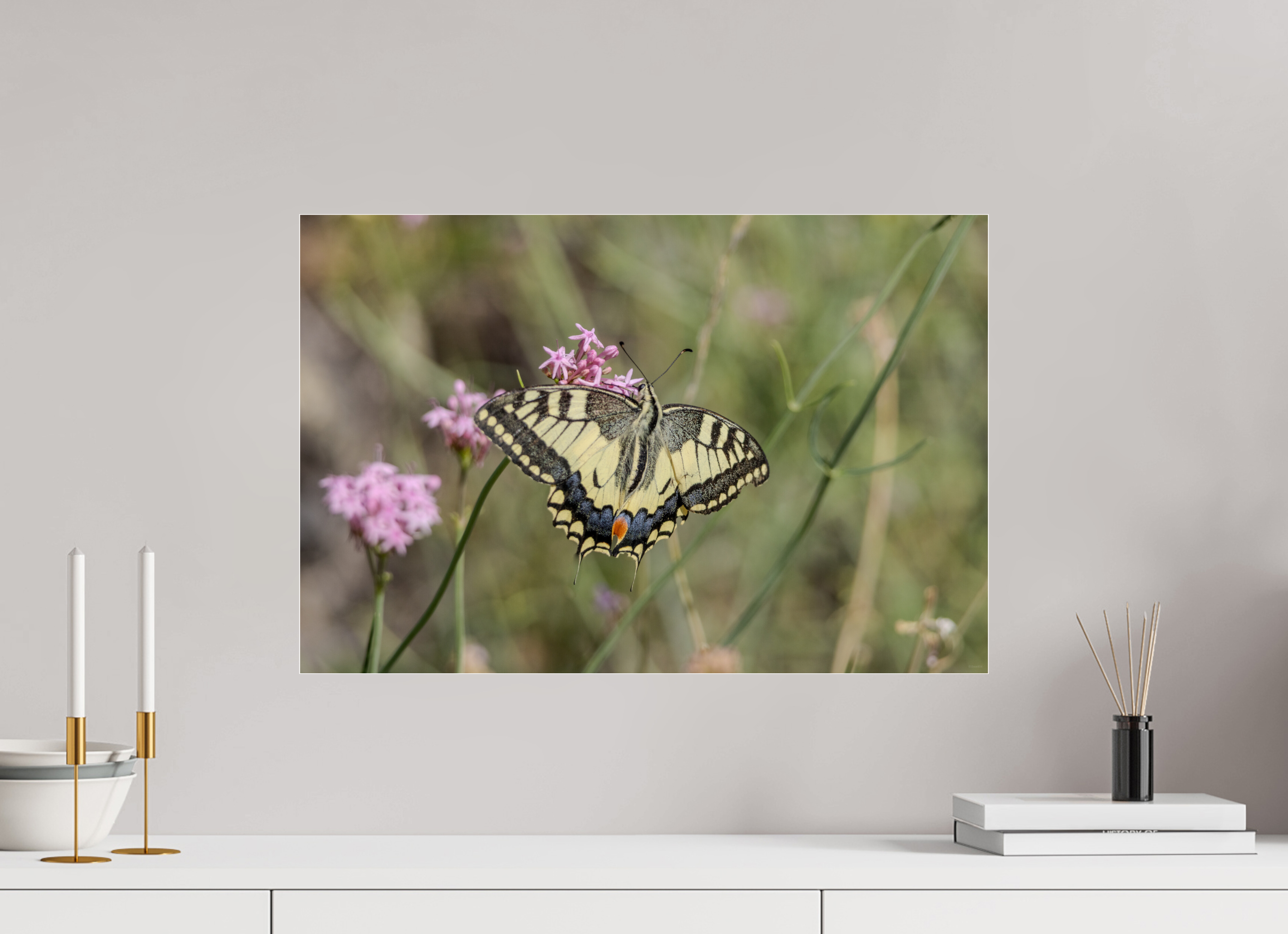 60 x 40 cm, Dibond verre brillant 2mm Gracieux éphémère