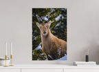 40 x 60 cm, Tirage Fine Art mat Copain