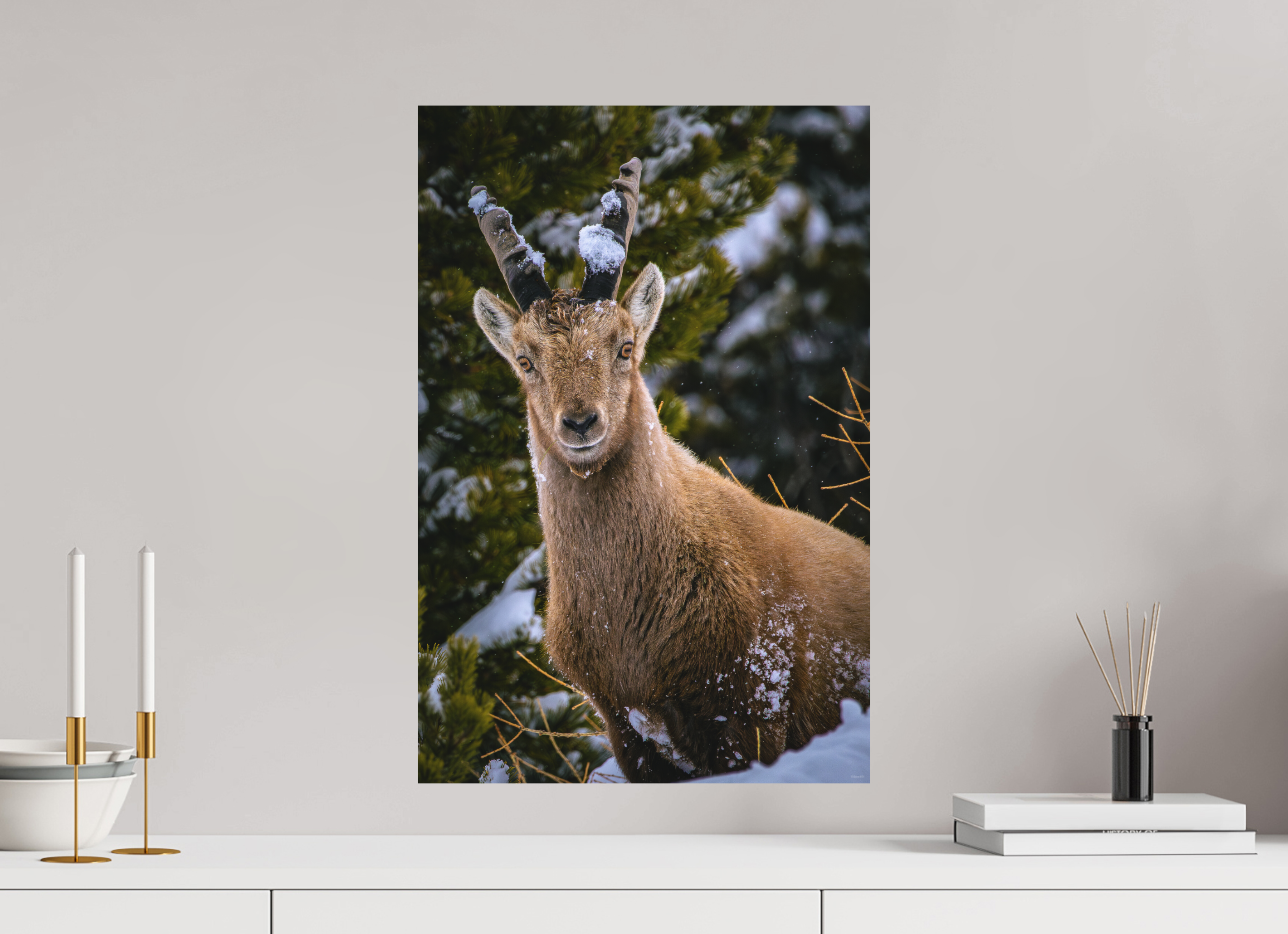 40 x 60 cm, Tirage Fine Art mat Copain