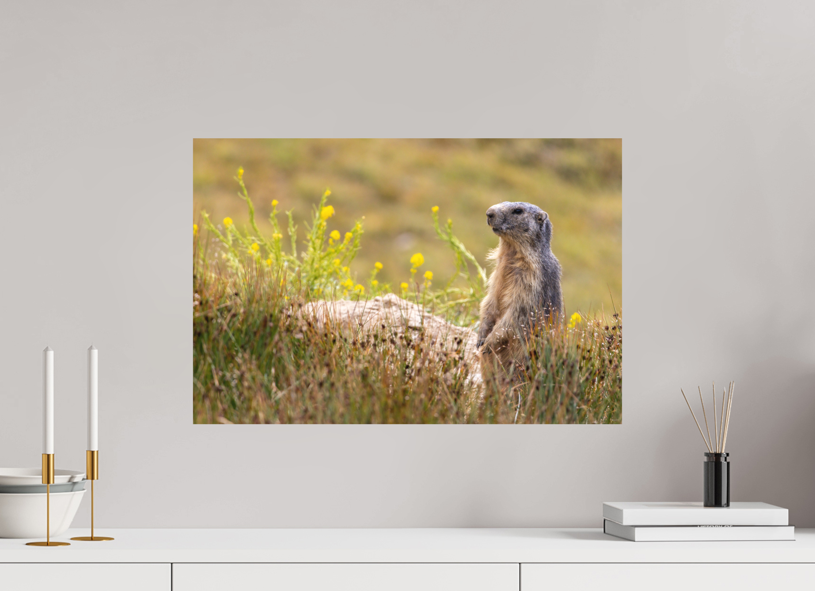 60 x 40 cm, Tirage Fine Art mat Garde champêtre