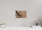 30 x 20 cm, Tirage Fine Art mat Sentinelle