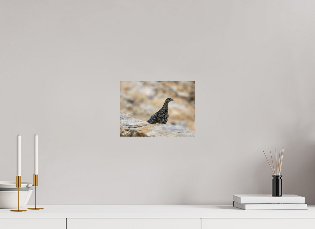 27 x 20 cm, Tirage Fine Art mat Gardienne