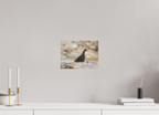 27 x 20 cm, Tirage Fine Art mat Gardienne